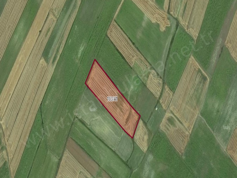 Kırklareli Vize Düzova Köyü Satılık Tarla , 12,918 m2 Tarla Müstakil 