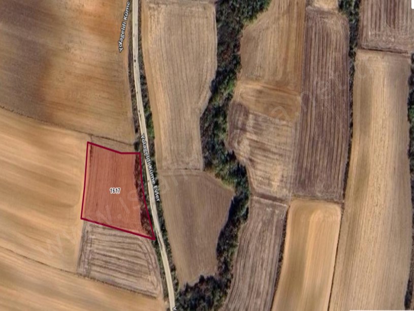 Kırklareli Babaeski Hazinedar Köyünde Satılık Arsa , 558 m2 Yola Cephe Hisseli