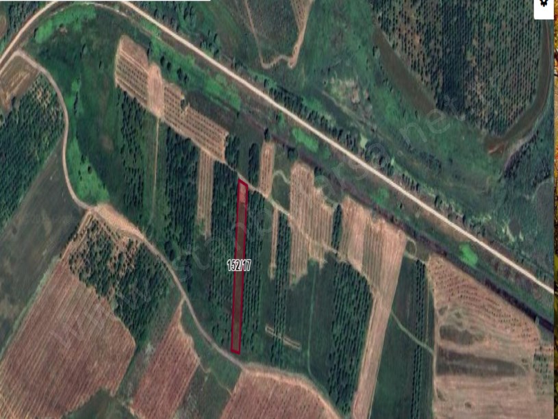 Çatalca İzzettinde Satılık Müstakil  Ev , 255 m2 Arsa İçinde Çevrili Yolu Var