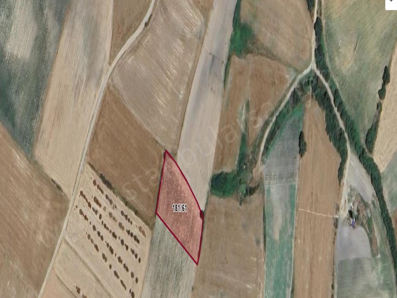 Edirne İpsala Esetçe Köyü Satılık Tarla , 2,744 m2 Müstakil 