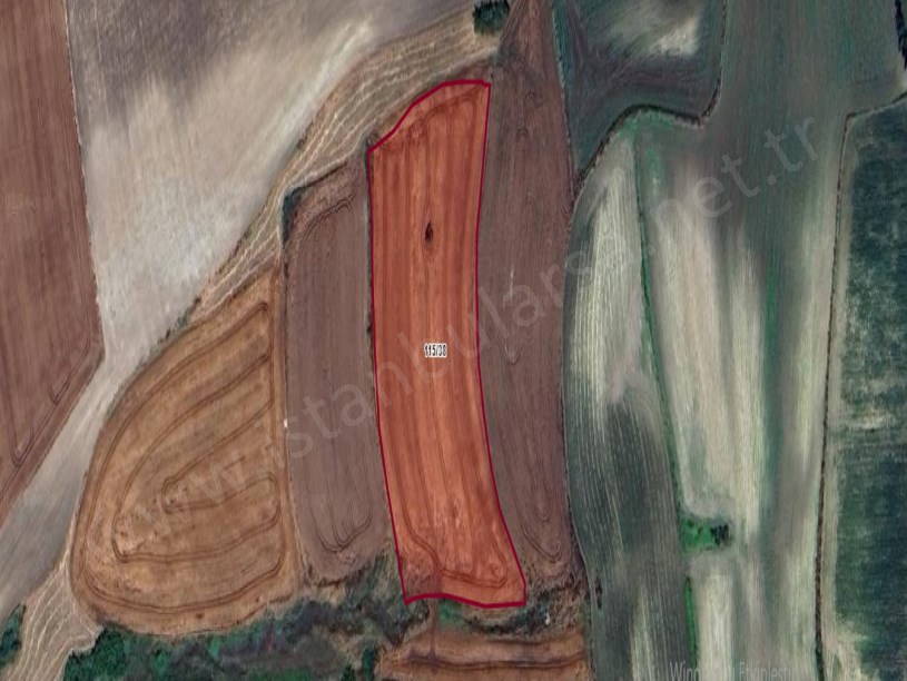 Arnavutköy Çilingirde Satılık Arsa , 705 M2 Hisseli