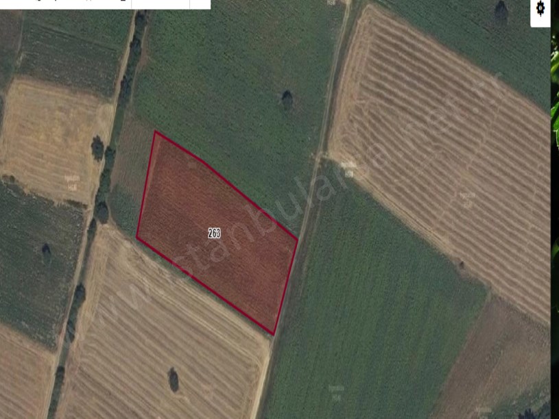 Kırklareli Merkez Ürünlü Köyü Satılık Tarla , 6,500 m2 Müstakil YoluVar