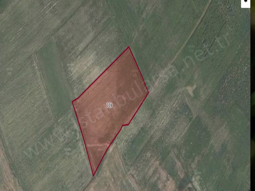 Edirne  Uzunköprü Başağılda Satılık Arsa , 147 m2 Hisseli