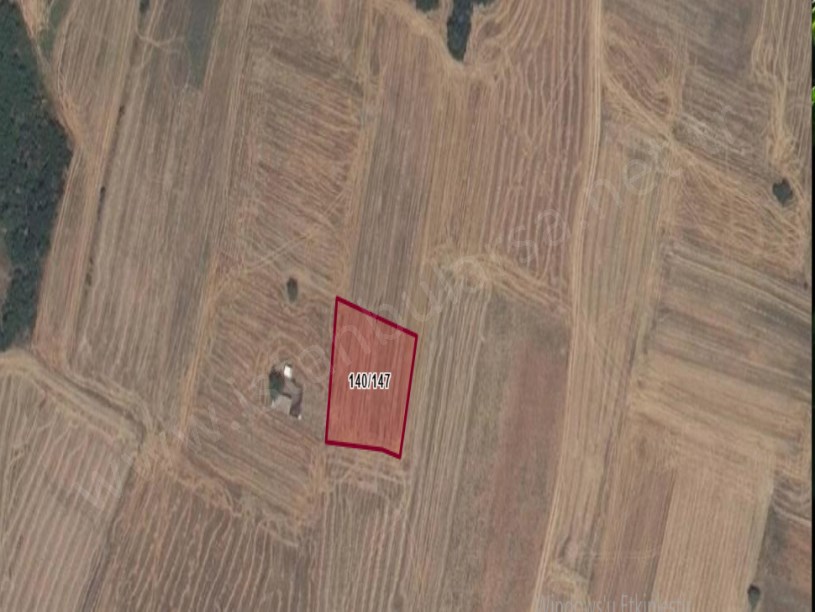Kırklareli Babaeski Karahalil Köyünde Satılık Tarla , 1,600 m2 Bağ Yeri Müstakil