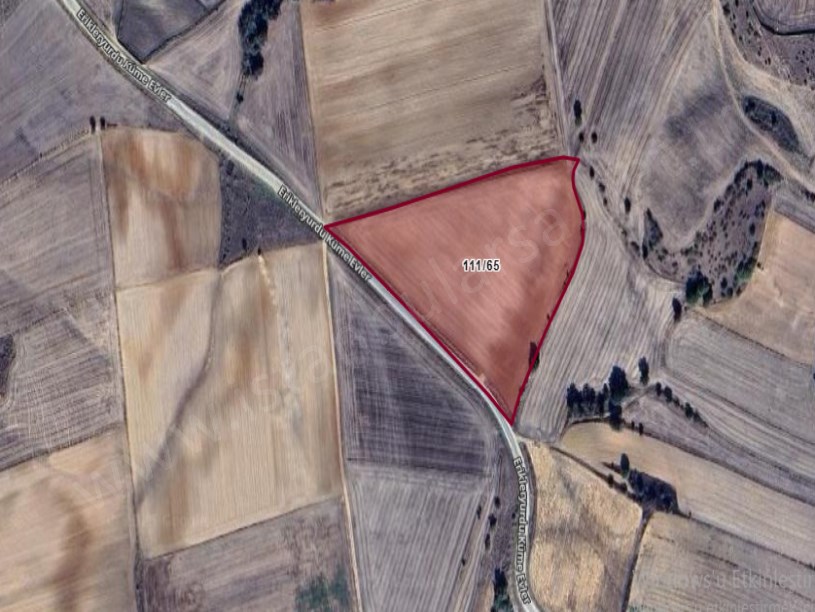 Kırklareli Babaeski Erikleryurdu Köyünde Satılık Arsa , 5,600 m2 Asfalt Caddeye Cephe Hisseli