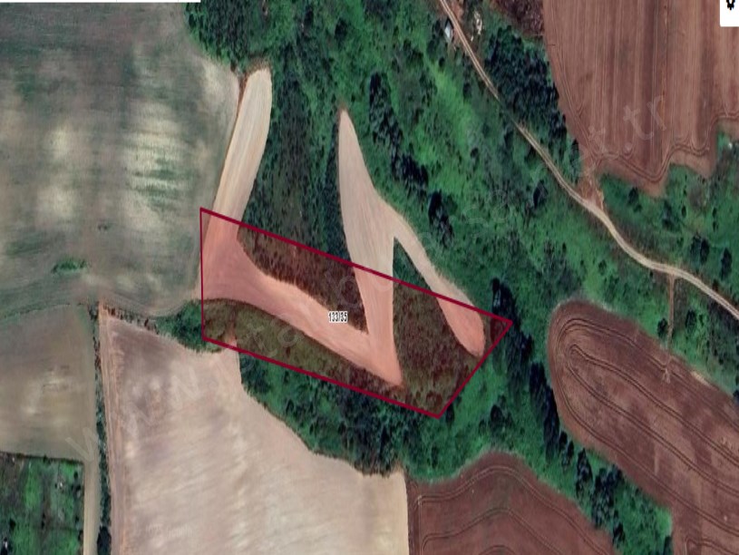 Arnavutköy Dursunköyde Satılık Arsa , 509 M2 Hisseli