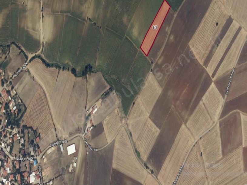 Edirne Keşan Beğendik Köyü Satılık Arsa , 876 m2 Yolu Var Köye Yakın Hisseli  