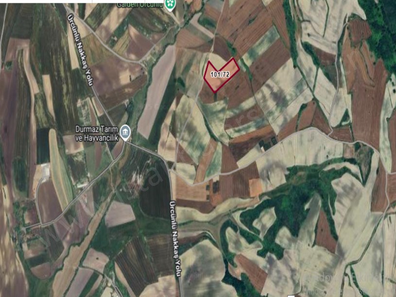 Çatalca Nakkaşta  Satılık Arsa , 1000 m2 Yolu Var Hisseli