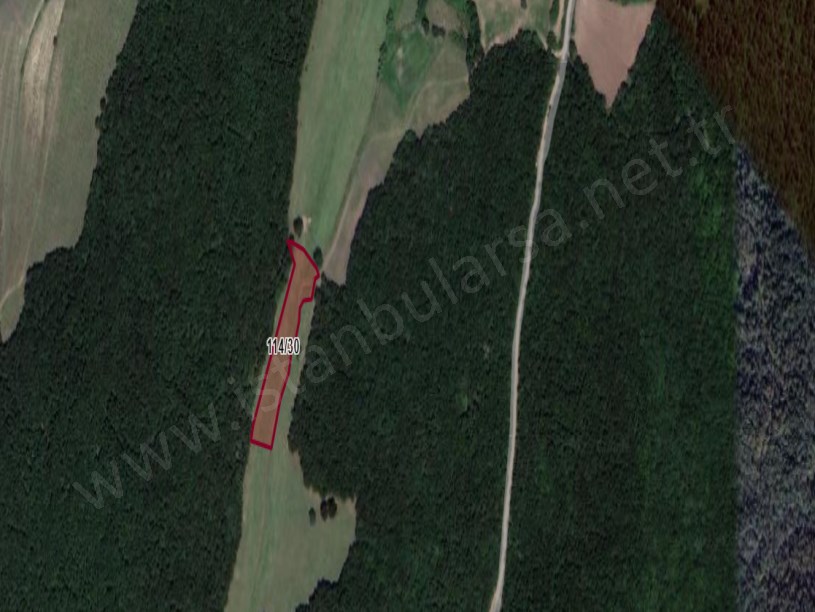 Çatalca Hisarbeylide Satılık Arsa , 488 M2 Çaplı Çevrili Hisseli