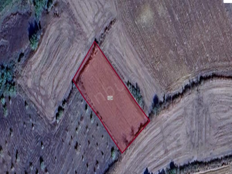 Edirne Uzunköprü Beykonak Köyünde Satılık Arsa , 325 M2 Çaplı