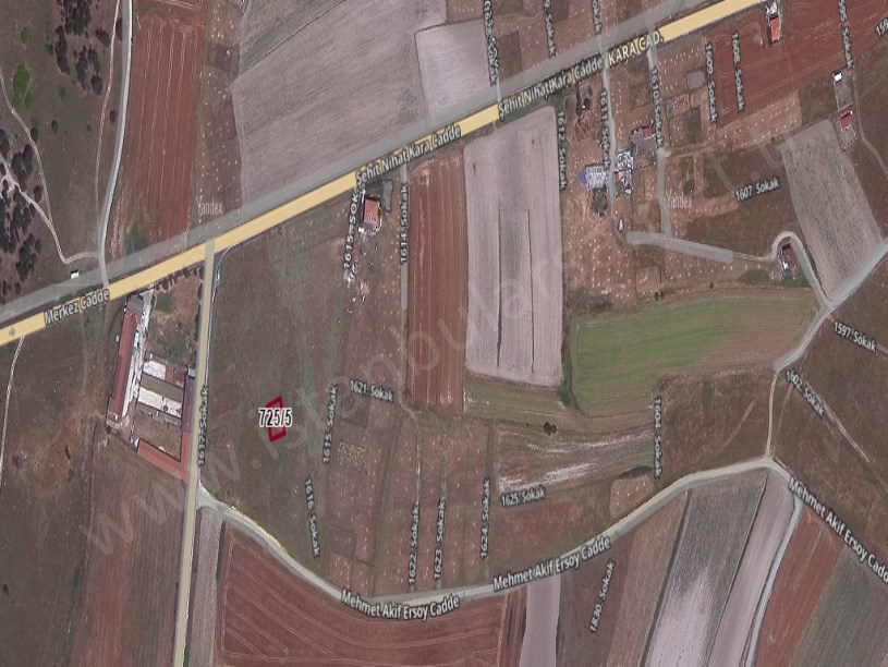 Tekirdağ Saray Büyükyoncalı Mah Satılık Arsa , 300 m2  Müstakil  Merkezde 