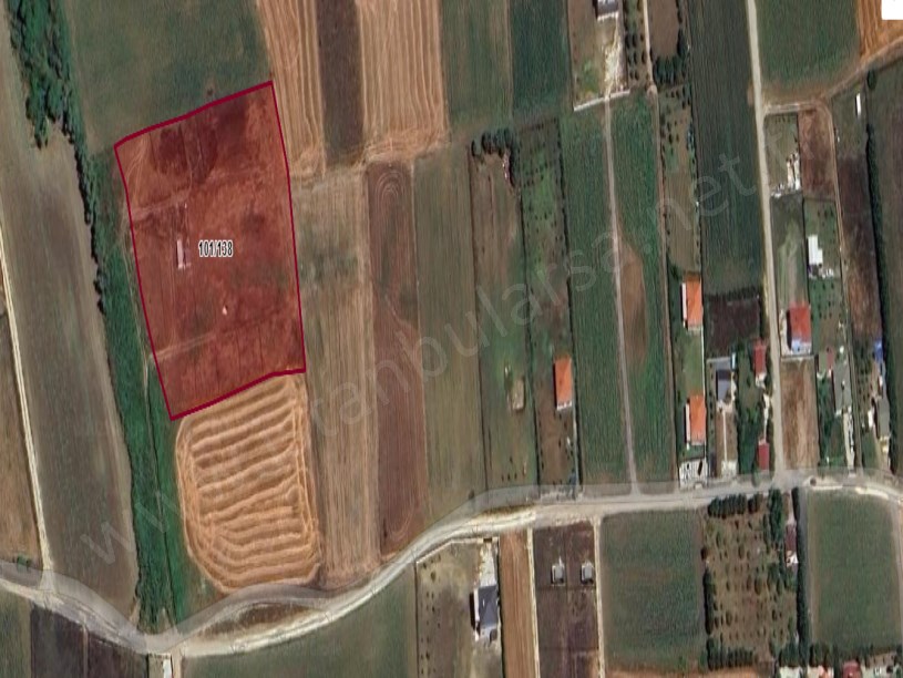 Çatalca Elbasanda Satılık Arsa , 250 m2 Çaplı Çevrili Evlerin Yakını