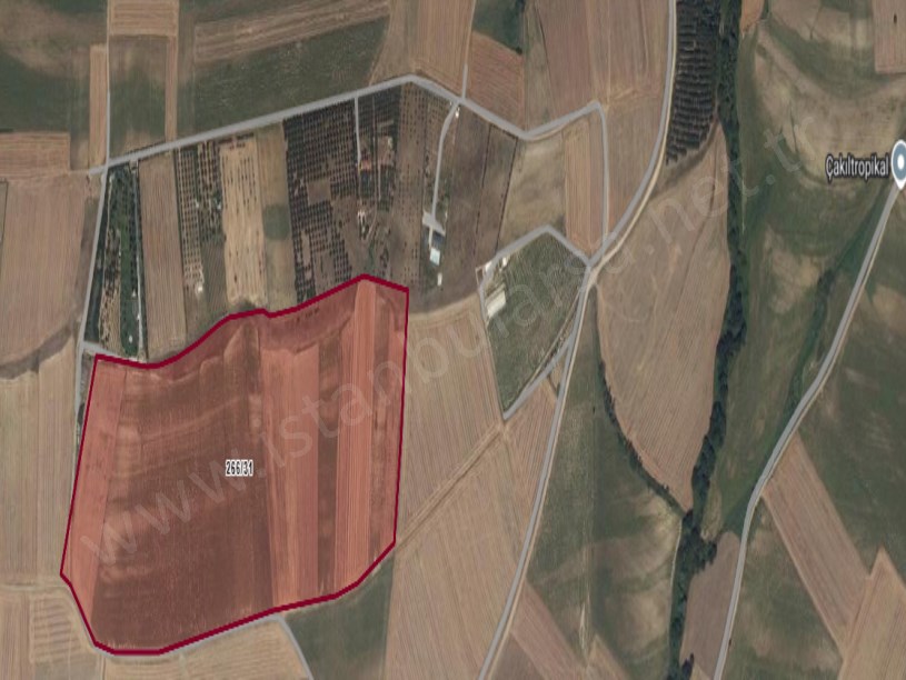Tekirdağ Marmaraereğli Çeşmeli Mah Satılık Arsa , 242 m2 Evlerin Yakını Yolu Var 