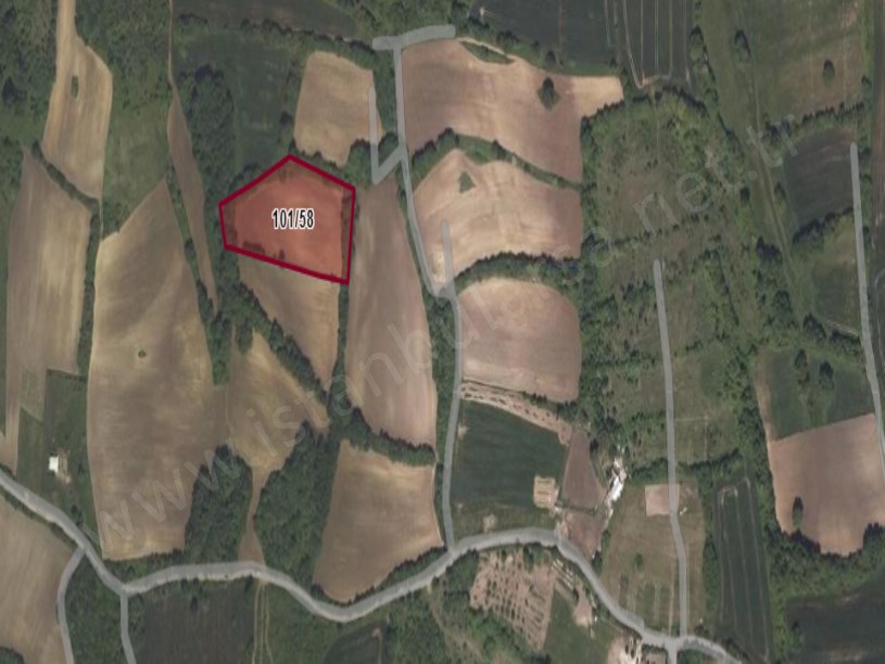 Arnavutköy Balabanda Satılık Arsa , 216 M2 Çevrili Evlerin Yakını Hisseli 