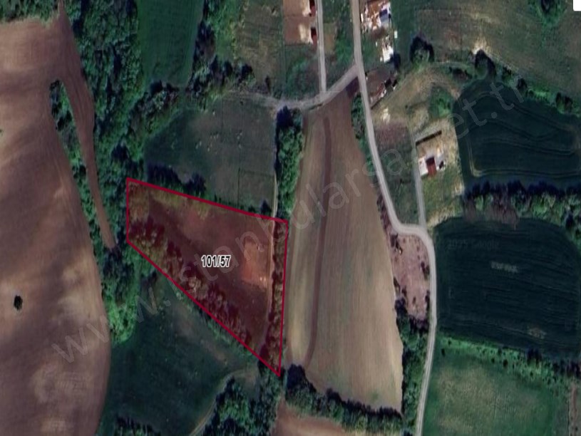 Arnavutköy Balabanda Satılık Arsa , 210 M2 Yolu Var Çevrili Hisseli