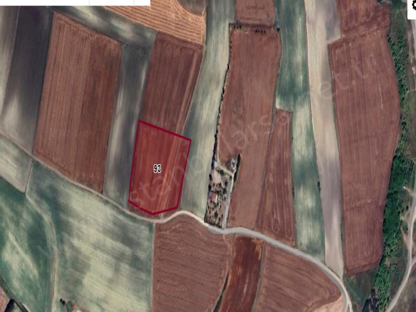 Arnavutköy Sazlıbosna Satılık Arsa , 267 M2 Yolu Var Evlerin Yakını İmarlı 