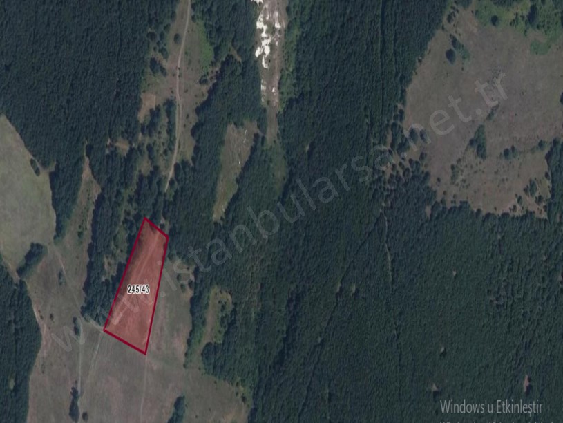 Çatalca Binkılıçta Satılık Tarla , 7,140 m2 Müstakil Orman İçinde Yolu Var