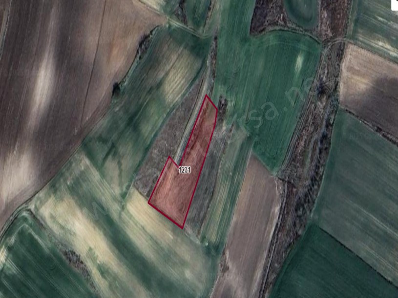 Kırklareli Lüleburgaz Ayvalı Köyünde Satılık Arsa , 270 m2 Hisseli Çaplı 