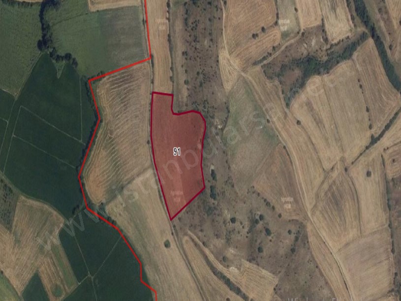 Kırklareli  Pehlivanköy Kuştepede Satılık Tarla  , 12,900 m2  Müstakil Köye Yakın  Yolu Var 