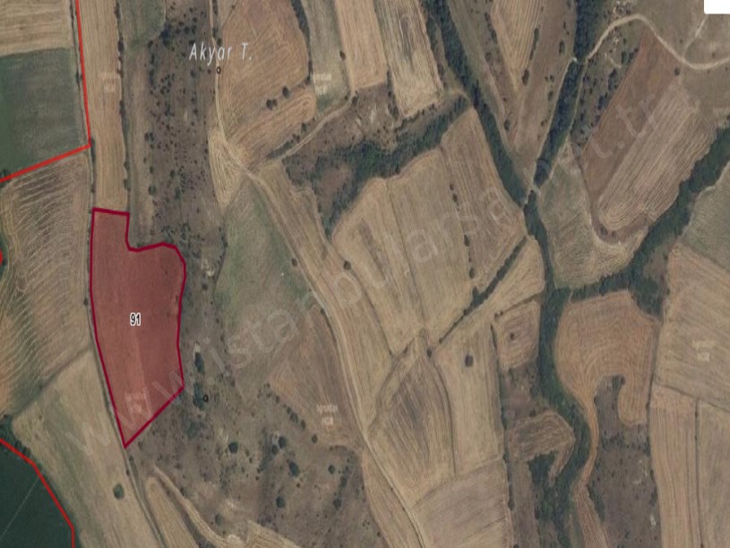 Kırklareli  Pehlivanköy Kuştepede Satılık Tarla  , 12,900 m2  Müstakil Köye Yakın  Yolu Var 