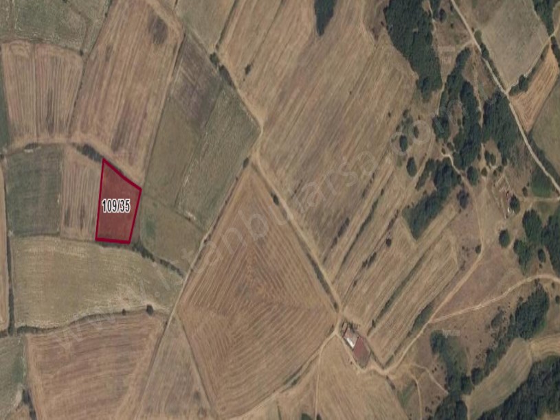 Kırklareli  Pehlivanköy Kurtuluş Mh Satılık Tarla  , 2,812 m2 Müstakil Yolu Var Tepe Konumda 