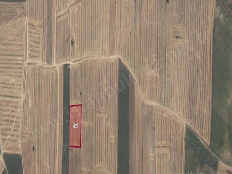 Kırklareli Pehlivanköy Doğanca Köyünde Satılık Arsa ,  246 m2 Hisseli 