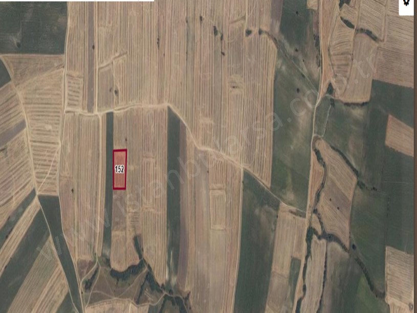 Kırklareli Pehlivanköy Doğanca Köyünde Satılık Arsa ,  656 m2 Hisseli 