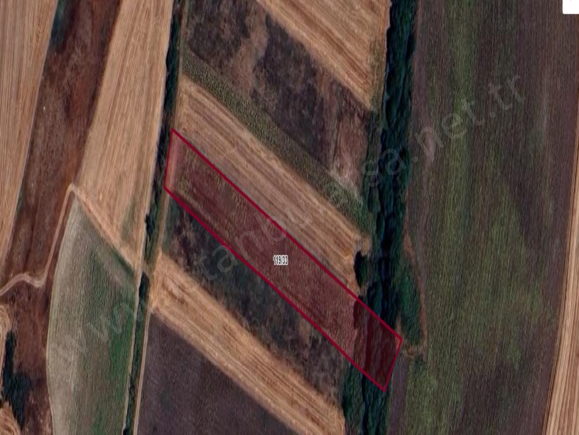 Tekirdağ  Saray Demirler Köyünde Arsa , 290 m2 Yolu Var Hisseli 