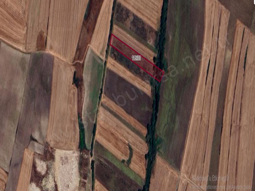 Tekirdağ  Saray Demirler Köyünde Arsa , 290 m2 Yolu Var Hisseli 
