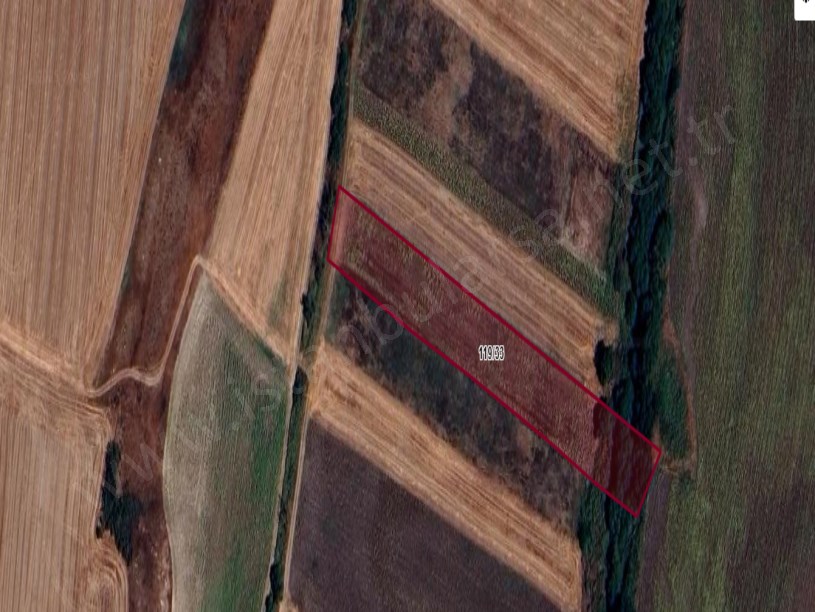 Tekirdağ  Saray Demirler Köyünde Arsa , 290 m2 Yolu Var Hisseli 