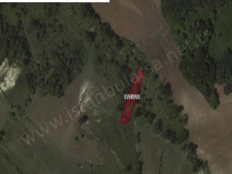 Arnavutköy Tayakadın Satılık Arsa , 185 M2  Yolu Var Evlerin Yakını Hisseli