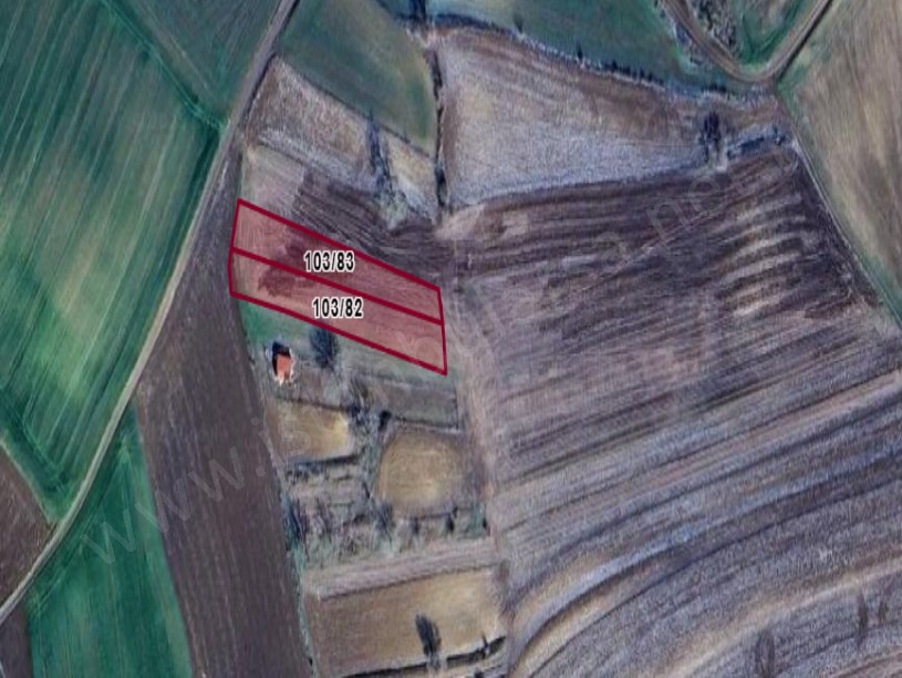 Tekirdağ Süleymanpaşa Demirli Mah Satılık Tarla  , 975 m2 Yolu Var Evlerin Yakını  Müstakil 
