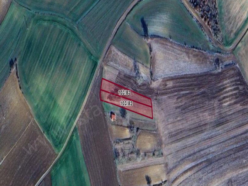Tekirdağ Süleymanpaşa Demirli Mah Satılık Tarla  , 975 m2 Yolu Var Evlerin Yakını  Müstakil 