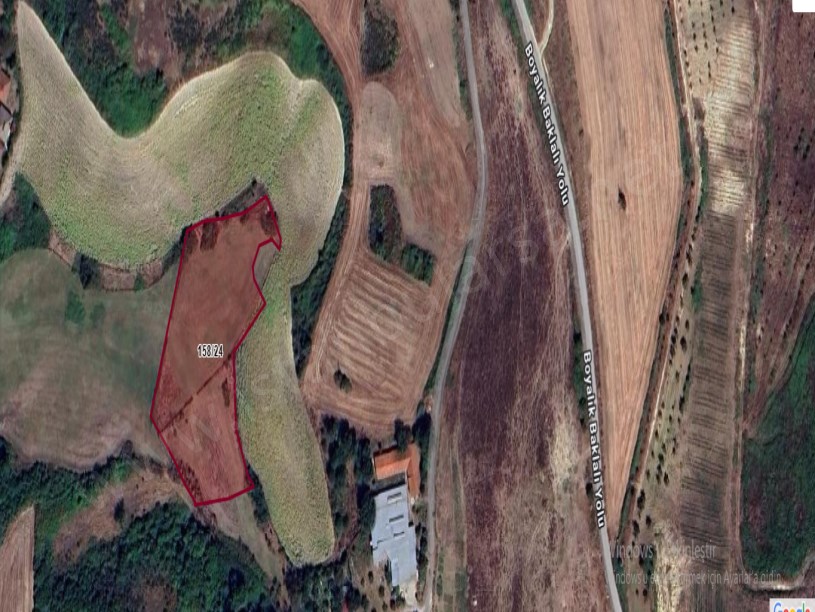 Arnavutköy Boyalıkta Satılık Arsa , 1000 m2 Etrafı Çevrili İmarlı 