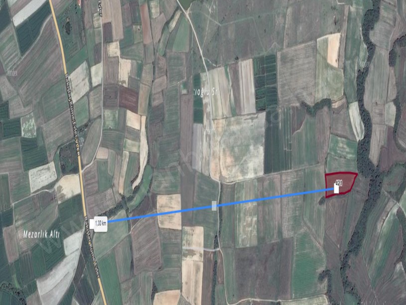 Edirne Havsa Bakışlar Köyü Satılık Arsa , 1,327 m2 Çaplı Kadastro Yoluna Cephe 