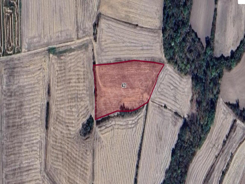 Edirne Havsa Bakışlar Köyü Satılık Arsa , 1,327 m2 Çaplı Kadastro Yoluna Cephe 