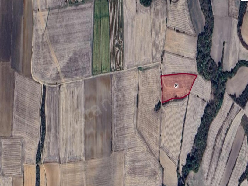 Edirne Havsa Bakışlar Köyü Satılık Arsa , 1,327 m2 Çaplı Kadastro Yoluna Cephe 