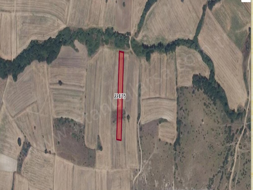 Edirne Uzunköprü Kavacık Köyünde Satılık Tarla , 2,811 m2 Müstakil  Yolu Var 