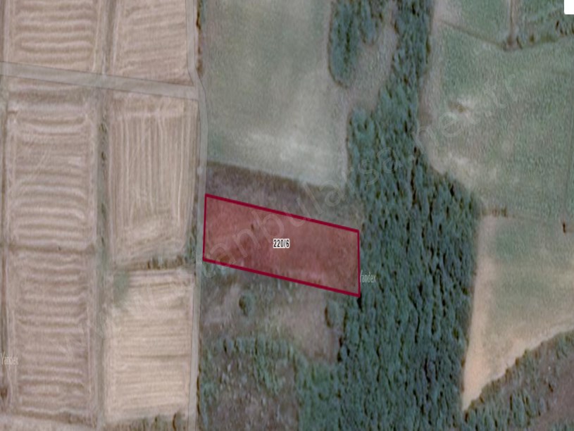 Edirne Uzunköprü Hamidiye Köyünde Satılık Tarla , 3,330 M2 Müstakil Yolu var