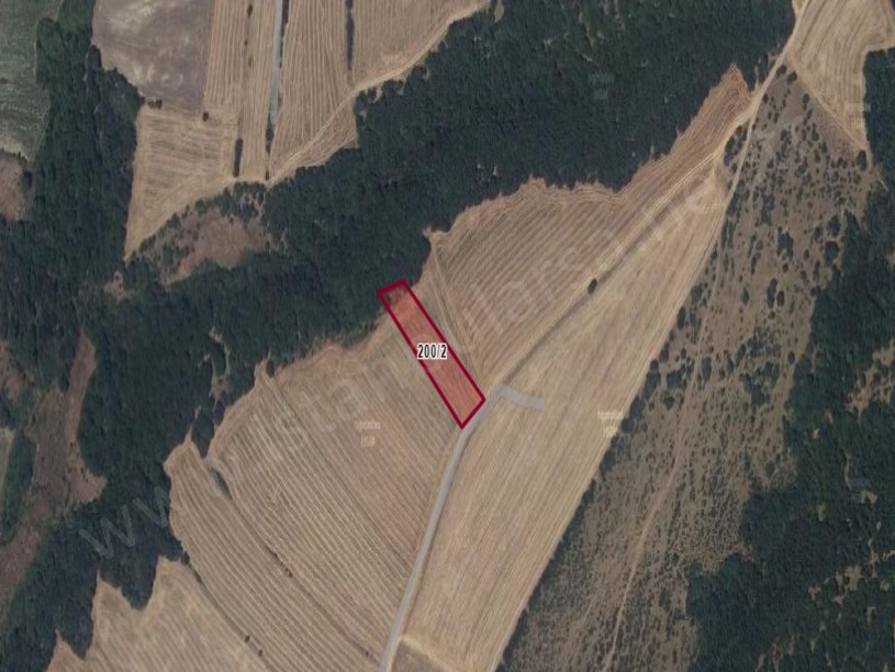 Edirne Uzunköprü Hamidiye Köyünde Satılık Tarla , 2,580 m2 Yolu Var Müstakil