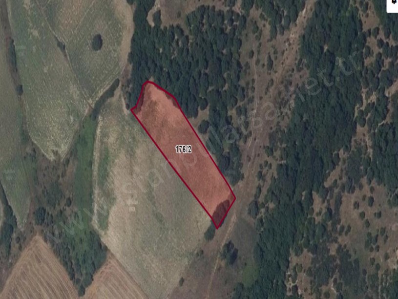 Edirne Uzunköprü Hamidiye Köyünde Satılık Tarla , 2,540 m2 Müstakil