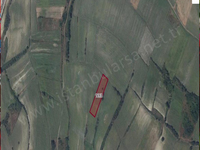 Edirne Uzunköprü Hamidiye Köyünde Satılık Tarla , 3,270 M2 Müstakil
