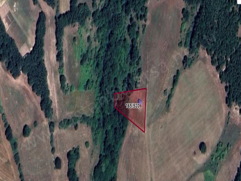 Tekirdağ Saray Küçükyoncalı Mah , Satılık Tarla 1,824 M2 Müstakil Resmi Yola Cephe 