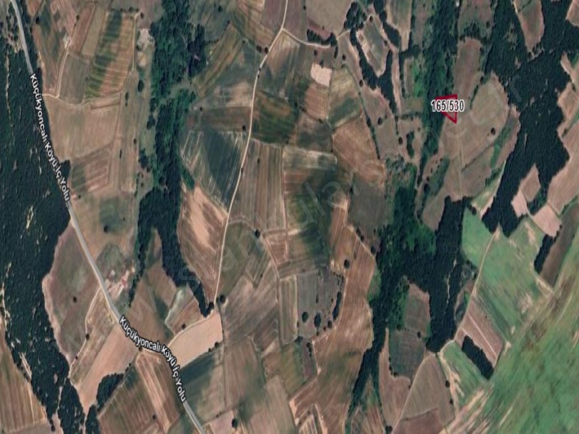 Tekirdağ Saray Küçükyoncalı Mah , Satılık Tarla 1,824 M2 Müstakil Resmi Yola Cephe 