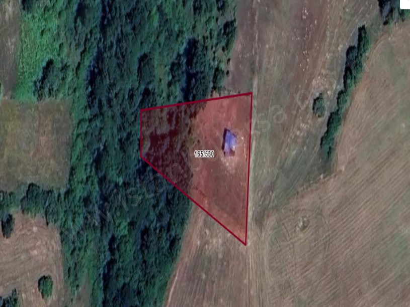 Tekirdağ Saray Küçükyoncalı Mah , Satılık Tarla 1,824 M2 Müstakil Resmi Yola Cephe 