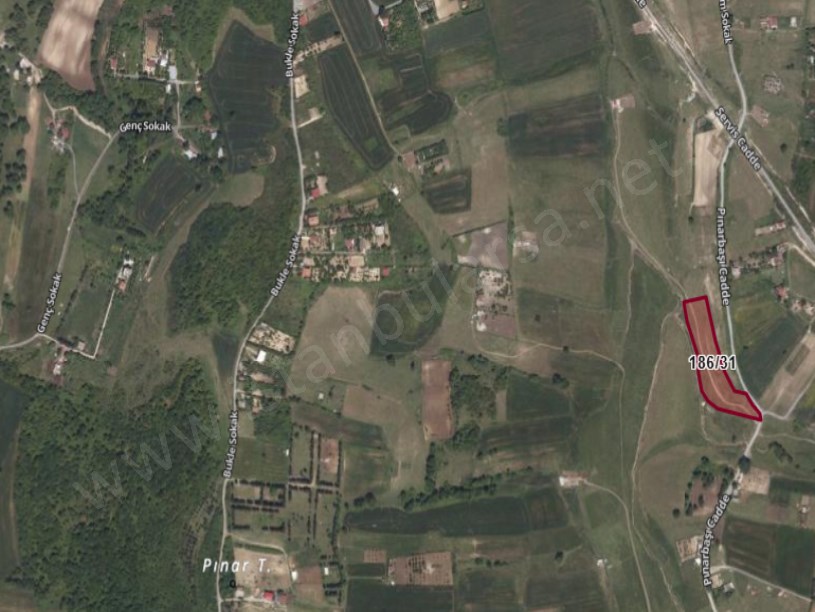 Arnavutköy Tayakadın Satılık Arsa , 220 m2 Caddeye Yakın Yolu Var Hisseli 