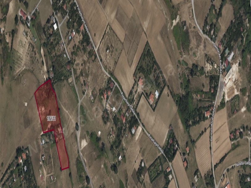 Arnavutköy Tayakadın Satılık Arsa , 645 M2 Yolu Var Evlerin Yakını İmarlı 