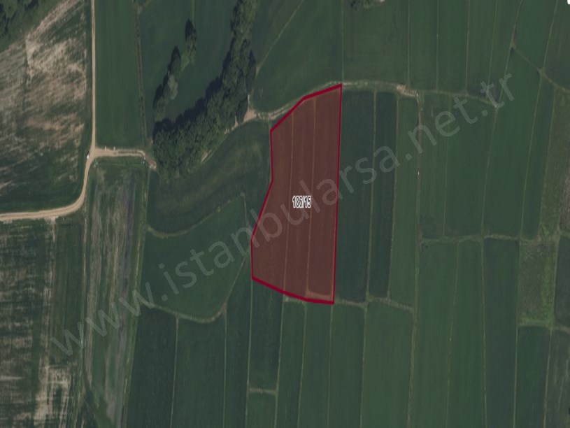 Çatalca Çiftlikköyde Satılık Arsa ,  227 M2 Hisseli Yolu Var