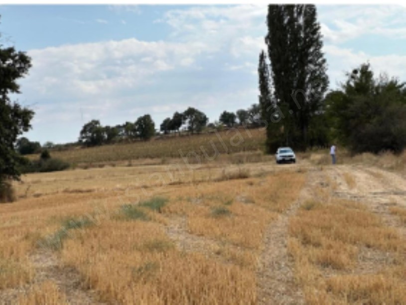 Kırklareli Kofçaz Kocatarla Köyü Satılık Arsa ,1,605 M2 Çaplı Yolu  Var