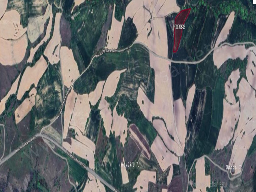 Kırklareli Kofçaz Kocatarla Köyü Satılık Arsa ,1,605 M2 Çaplı Yolu  Var